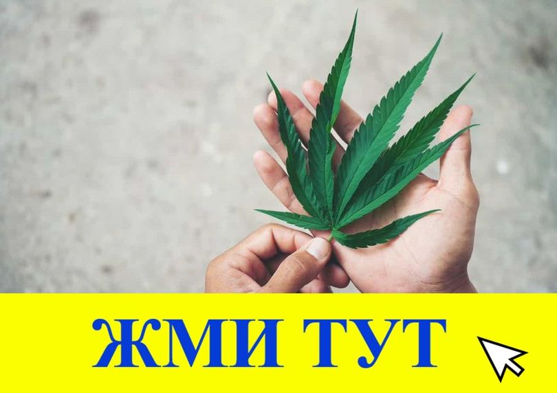 Купить наркотики в Талице